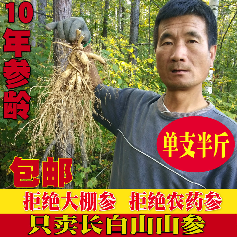 单支250g克特大长白山鲜人参东北半斤林下参园参白参非野山参泡酒