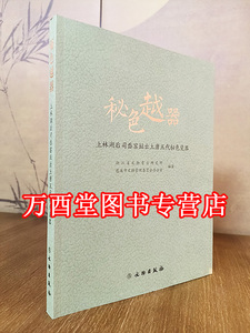 秘色越器上林湖后司窑址出土