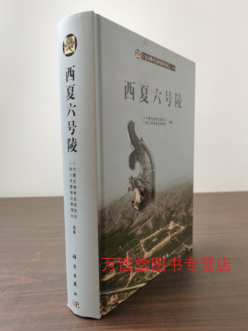 西夏六号陵文物出版社