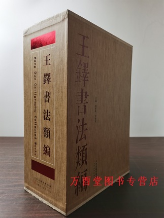 外观微瑕 介意慎拍【全20册】王铎书法类编 行书草书诗卷 行草立轴 临王羲之王献之一二三四五 临唐代诸贤 古帖 亲书 另荐草书全集