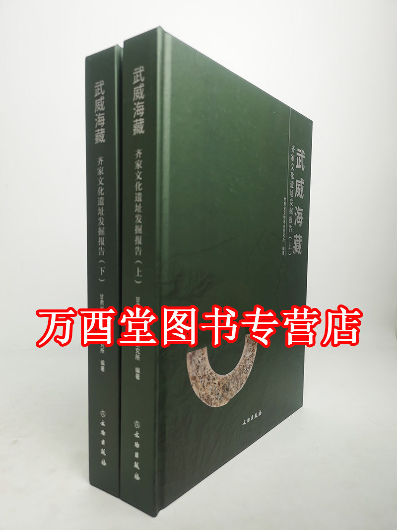 武威海藏齐家文化遗址发掘报告