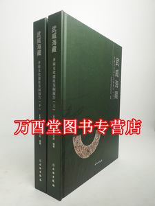 武威海藏齐家文化遗址发掘报告