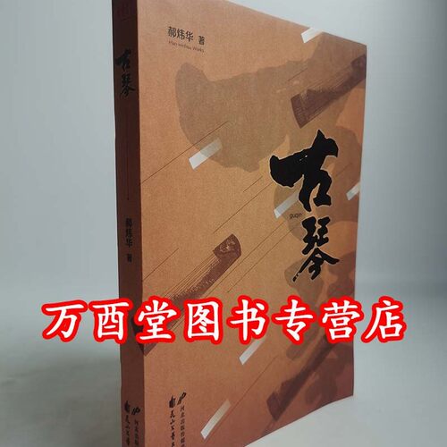 古琴郝炜华小说花山文艺出版社