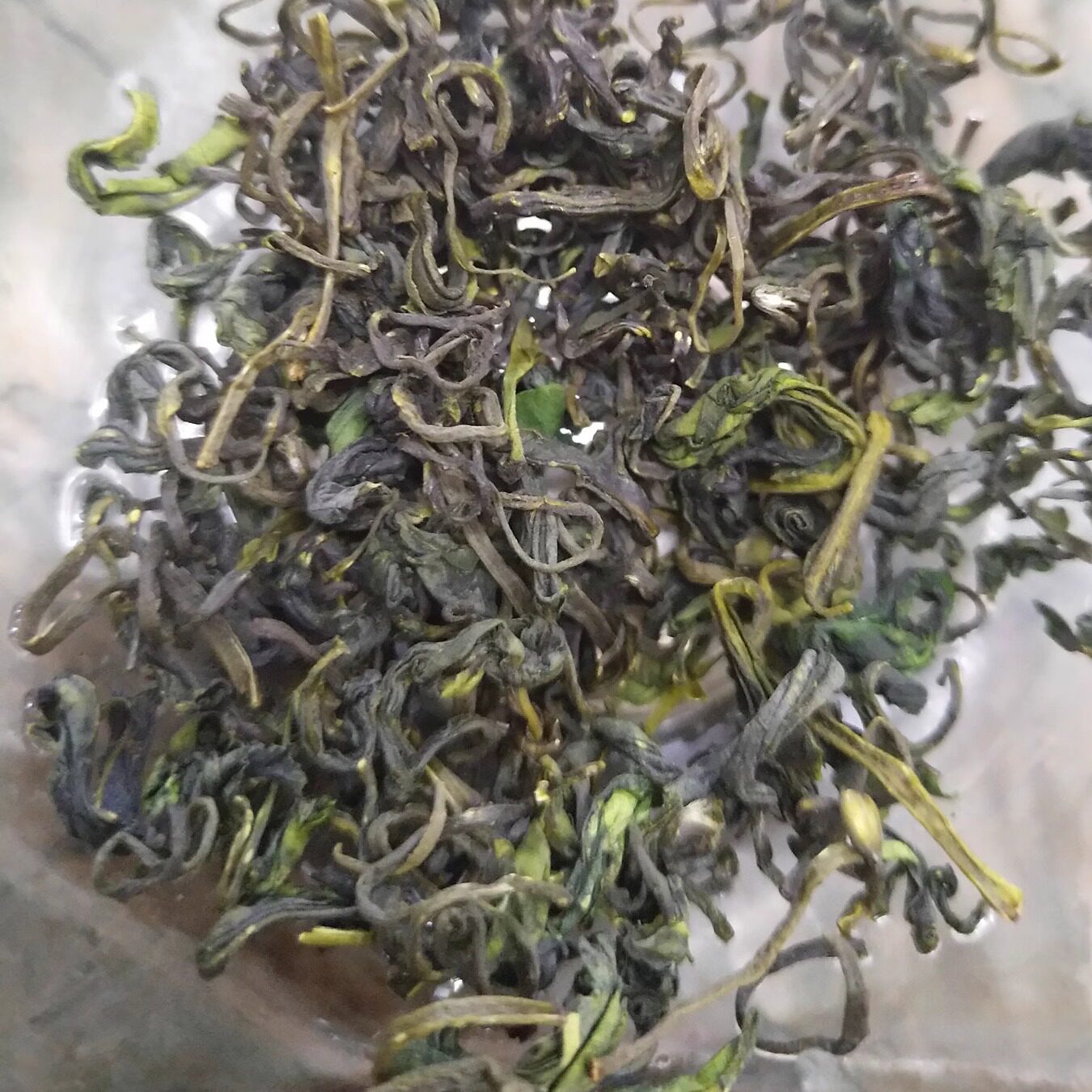 2023正宗新茶崂山绿茶 青岛特产 绿茶 散装纯手工  绿茶