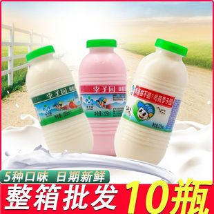 李子园甜牛奶225ml 10瓶原味草莓荔枝哈密瓜儿童早餐奶整箱批发
