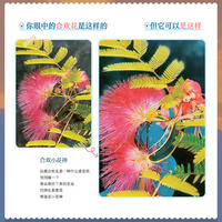 Add a bit of miracle to life. Warm comic picture book by Weijia Jiang. Everything has a spirit and is cute. Fresh and lively animation and comic collection. Creative art and imagination. Official published by Posts & Telecom Press thumbnail 3