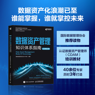 数据资产管理知识体系指南 国际数据管理协会大中华区编著 确权估值入表交易融合国际理论中国实践政策实操案例 产业经管书籍
