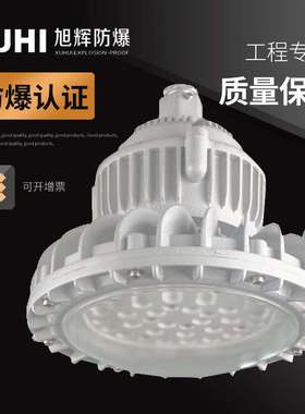 XHD610免维护 LED防爆灯70W80W100Wled防爆灯 防爆路灯防爆照明灯