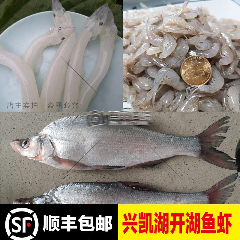 兴凯湖特产开湖鱼大礼包大白鱼麻鲢湖虾银鱼水产套餐顺丰包邮