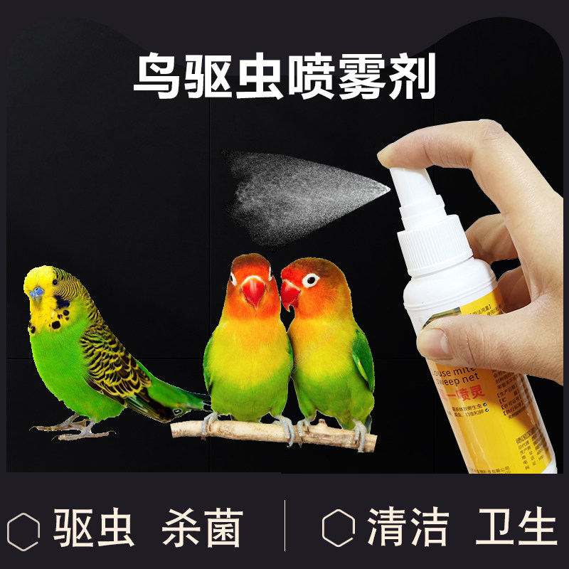 鹦鹉八哥鸟补充营养拉稀常备药