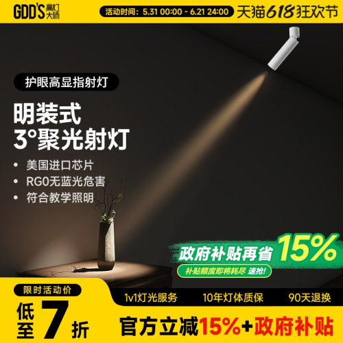 高灯大师客厅全铝材可摆头