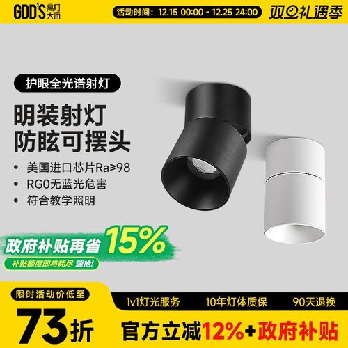 全铝材可摆头防眩高灯大师极简风