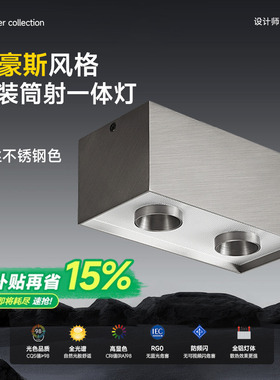 双头不锈钢斗胆灯明装筒灯射灯一体包豪斯吸顶灯银色卧室客厅主灯