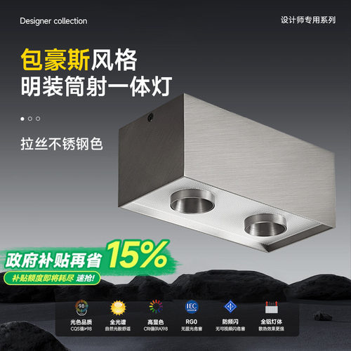 双头不锈钢斗胆灯明装筒灯射灯一体包豪斯卧室客厅主灯吸顶灯银色