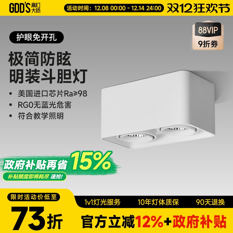 全铝明装双头白色led客厅斗胆灯