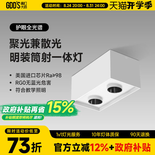 双头斗胆LED射灯明装吸顶正方