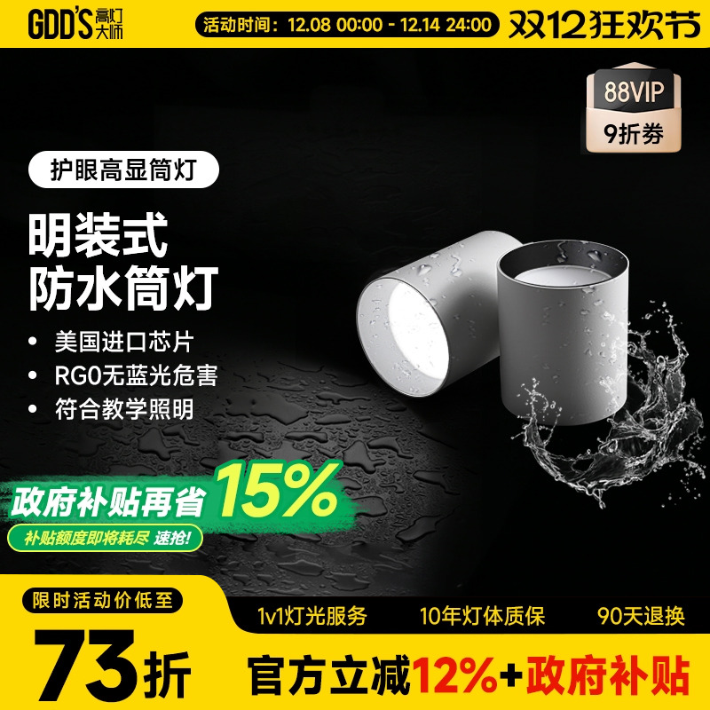 高灯大师防水筒灯全铝极简明装