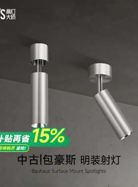 不锈钢明装射灯银色包豪斯吸顶灯嵌入式护眼客厅全光谱天花无主灯