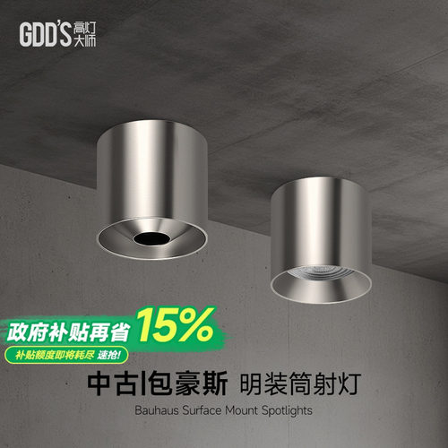 明装拉丝不锈钢色射灯包豪斯