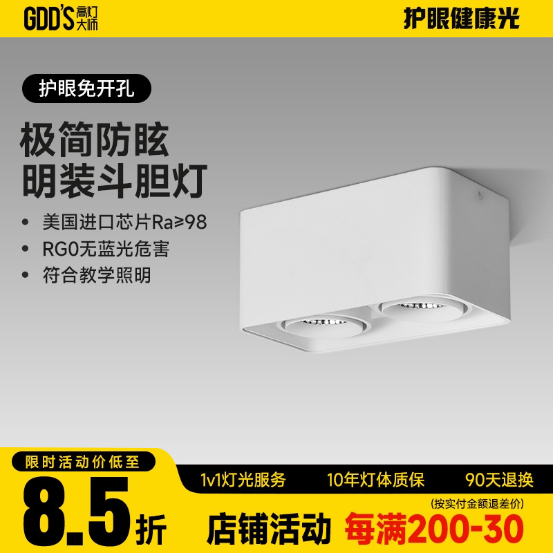 全铝明装双头白色led客厅斗胆灯