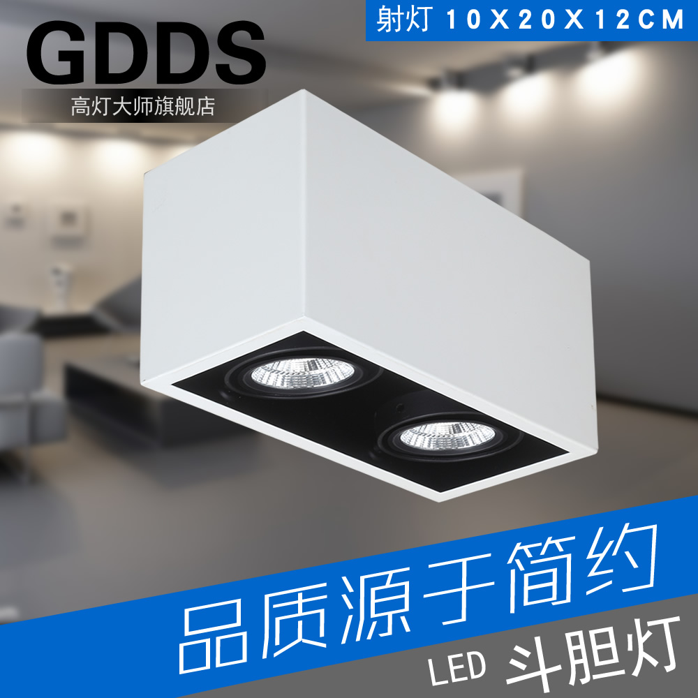 GDDS雙頭明裝射燈led長方形吸頂筒燈cob斗膽燈格柵燈可調角度簡約