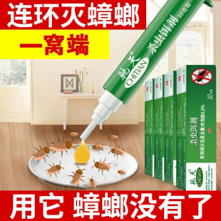 杀蟑饵剂蟑螂药杀蟑胶饵全窝端厨房室内强力灭蟑清除杀虫剂家用