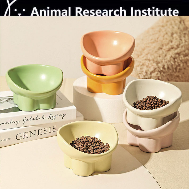 大口径宠物碗好看又好用