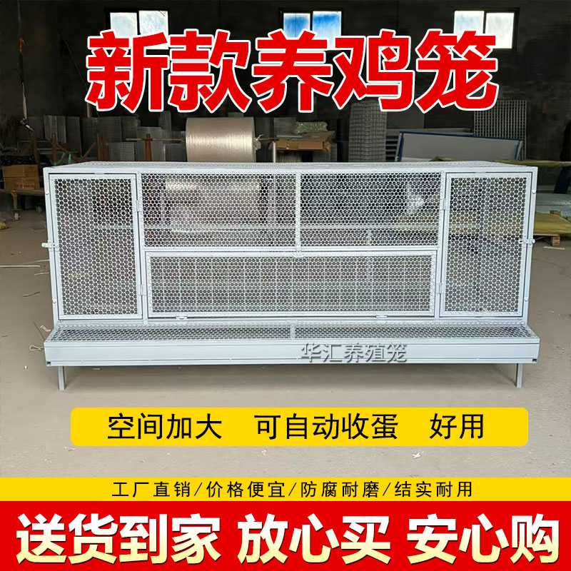 自动收蛋烤漆笼尖顶防雨鸡笼子养殖鸡鸭鹅兔子好品质可水洗钢网笼