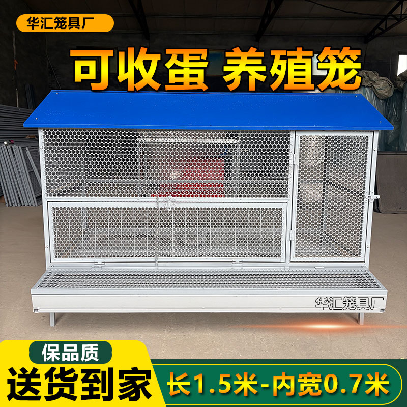 尖顶收蛋鸡笼子养殖鸡鸭鹅兔子好品质鸡棚鸡笼鸽子笼可水洗钢网笼