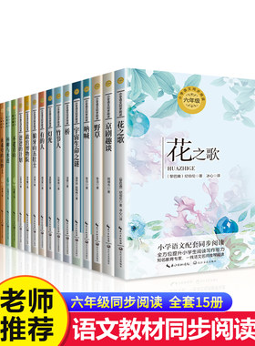 六年级上小学语文同步阅读书