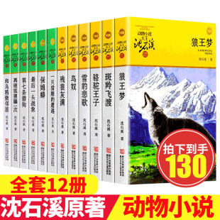 官方正版 全套正版 三四五六年级必读课外书初中经典 沈石溪动物小说全集12册 书斑羚飞渡小学生课外阅读书籍 儿童文 大王狼王梦