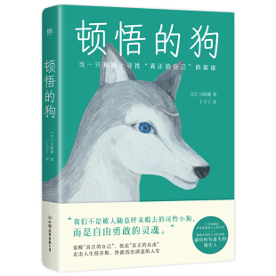 朝圣之旅 一个身患癌症却奇迹康复之人 哲思 顿悟 故事 一只狗 能够改变你人生 狗