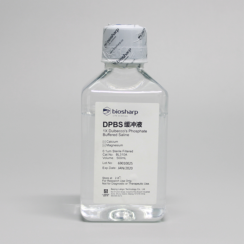 缓冲液BL310ADPBS缓冲液500ml