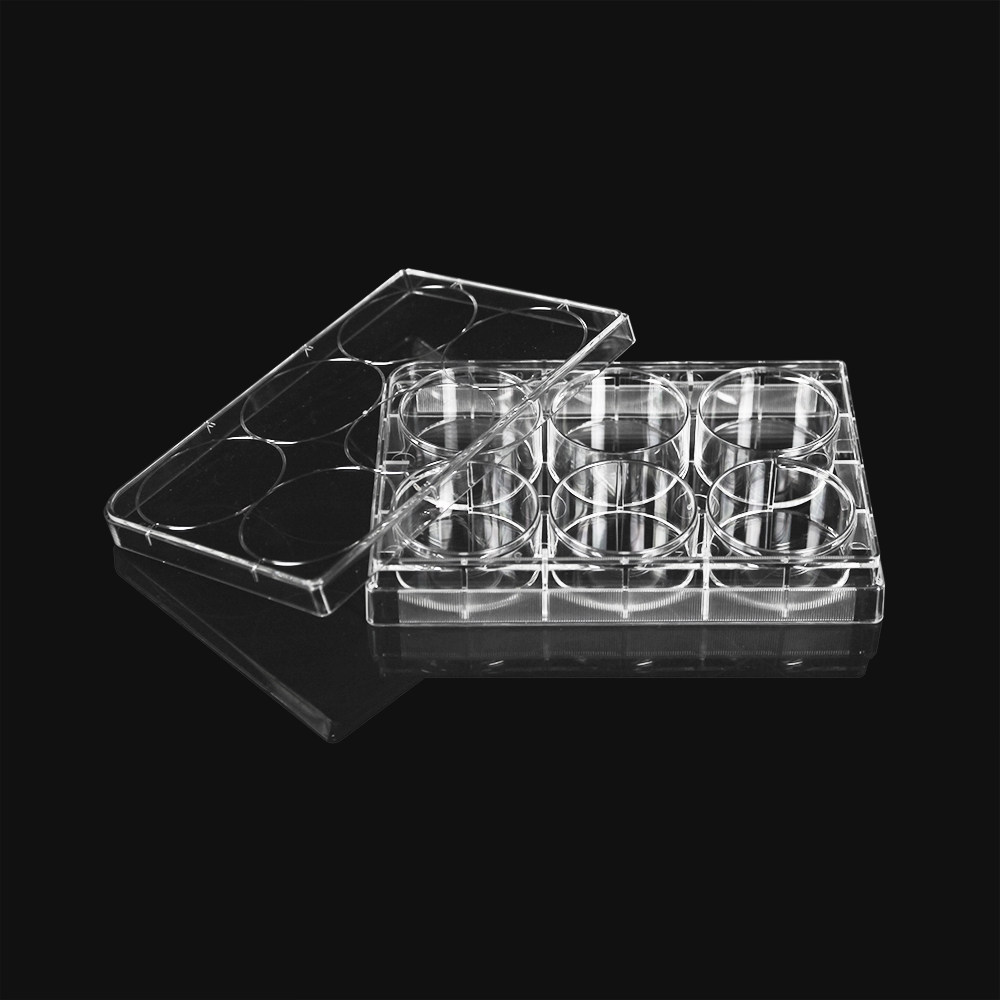 labselect 甄选 11110 6孔细胞培养板 tc处理促进细胞贴壁 平底无