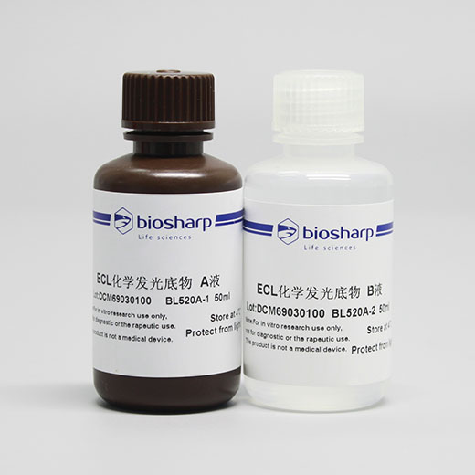 biosharp BL520A ECL化学发光底物(特超敏） 100ml