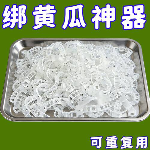 黄瓜西红柿豆角爬藤枝条固定器绿植蔬菜捆绑扎带藤蔓专用吊秧夹