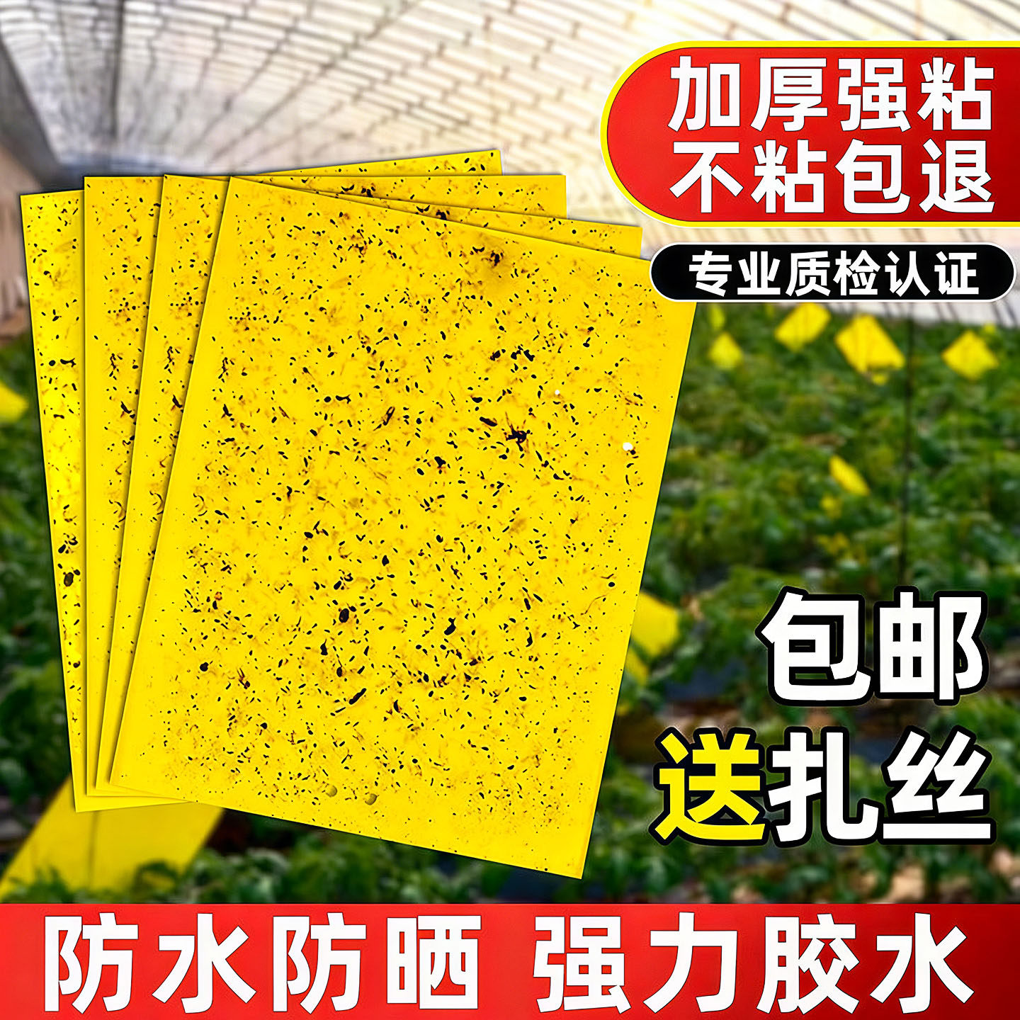 双面粘虫板贴纸强力灭杀小飞虫沾果蝇诱捕神器捉蚊子苍蝇大棚黄板