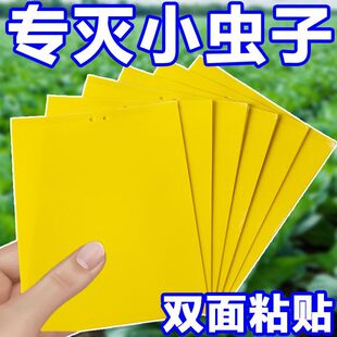 黄板双面粘虫板诱虫板贴纸灭小飞虫沾果蝇诱捕器果园蚊子苍蝇大棚