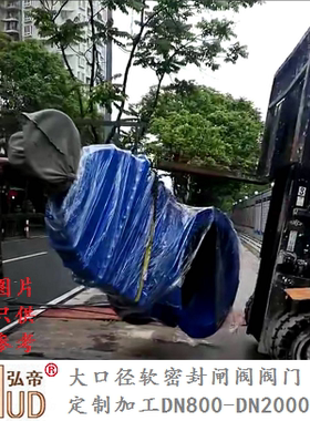 超大口径软密封闸阀阀门定制加工PN10/PN16-DN800/1000/1200-2000