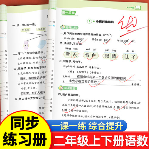 二年级下册同步练习册全套