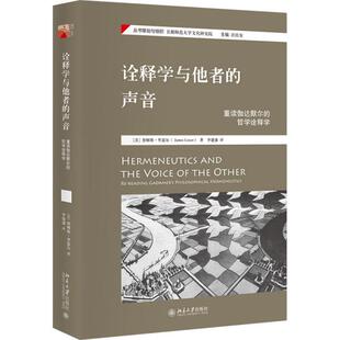 诠释学与他者 北京大学出版 声音：重读伽达默尔 9787301293584 社 哲学诠释学 正版