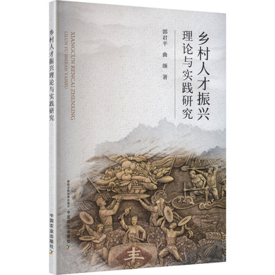 正版 乡村人才振兴理论与实践研究 9787109336599 中国农业出版社