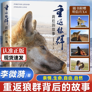 重返狼群背后的故事 一部人狼情未了的旷世传奇 难以割舍恒以在怀的牵挂 呈现重返狼群背后的感人故事 探寻人与自然相谐之道路径