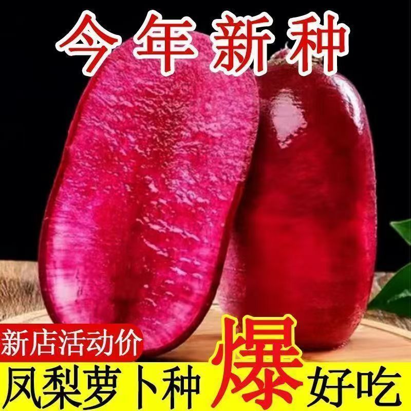 【下单立减20】凤梨水果萝卜种子阳台菜园庭院可萝卜种子