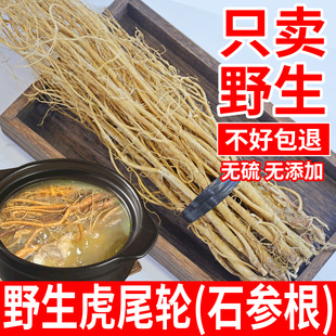广西虎尾轮 石参根干货 新鲜晒干中药材 野生猫尾草 煲汤炖汤食材