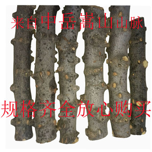 嵩山花椒木磨牙棒花椒树枝原木料做咬牙棒6-12个月宝宝婴儿防蛀牙