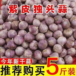 云南独头蒜大果独蒜头干蒜头新大蒜独蒜头出口级精品级特大果包邮