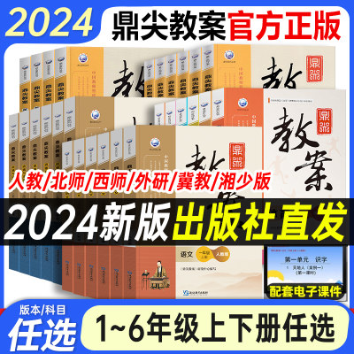 鼎尖教案2024年小学教学设计