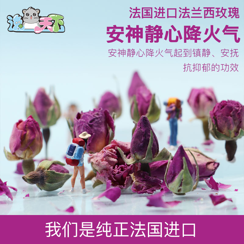 龙猫兔法兰西玫瑰抑制焦虑防咬毛