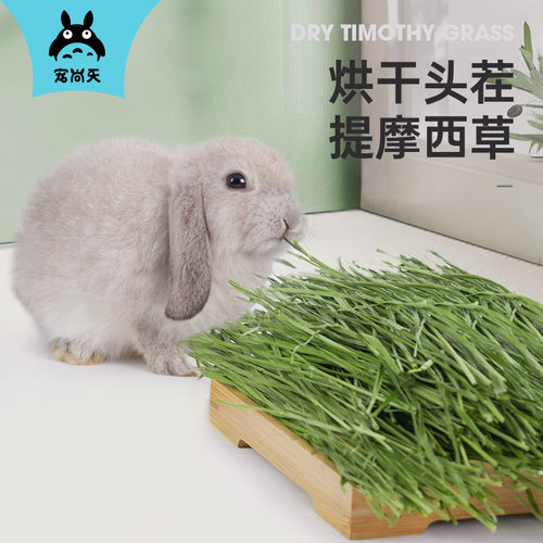 提摩西草高纤维龙猫兔子主粮